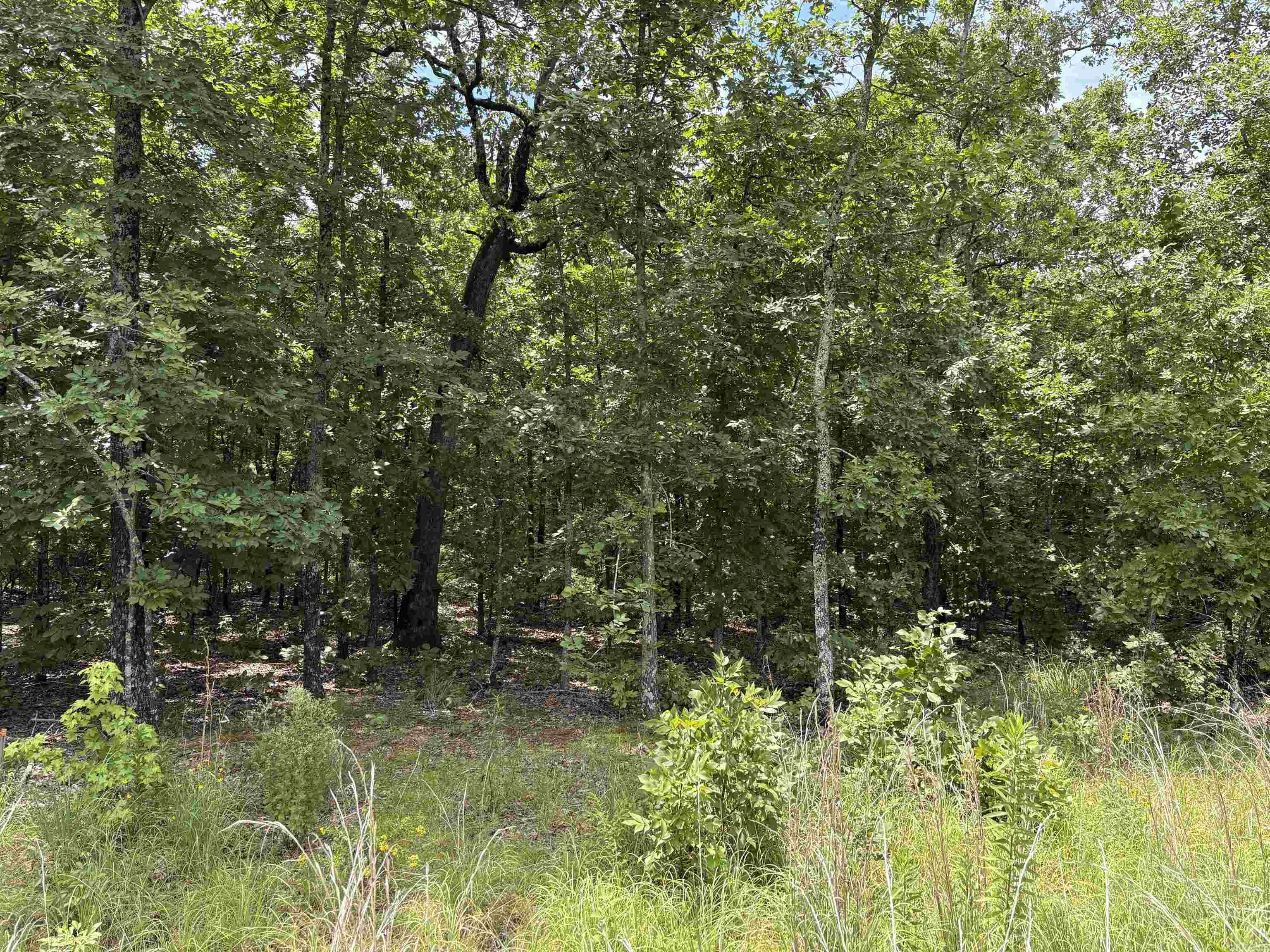 DORIS HEIGHTS II FINAL PLAT - Land