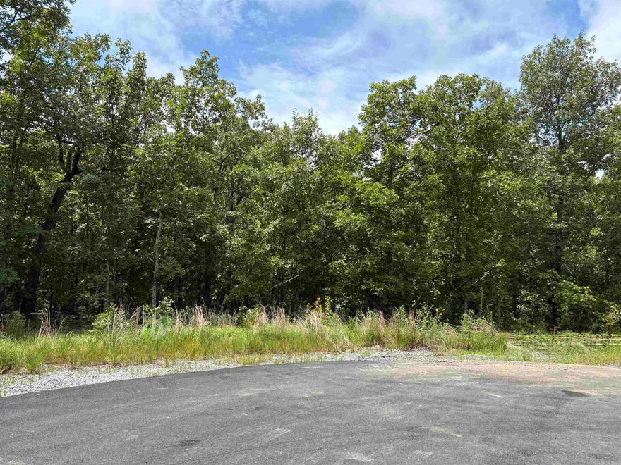 Best lot in prime location in the heart of LR, Conway, & Cabot triangle. 7.25ac relatively FLAT, private, and secure culdesac access. Huge trees and 2000 min sq ft homes. Water/Electricity at the street.