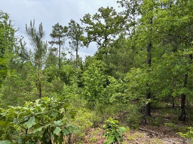 This 181 acre tract has had the timber cut off of it a few years ago. There is some old grown on it, but the majority is what has grown up after the cutover. There are trails throughout the tract from the loggers which the seller keeps cut. This tract has enormous potential for a future subdivision, tree farm, or let your imagination be your guide. You can also purchase it in conjunction with the seller's adjoining properties. There is good deer hunting on this tract and ready for a new owner to manage it in their own way.