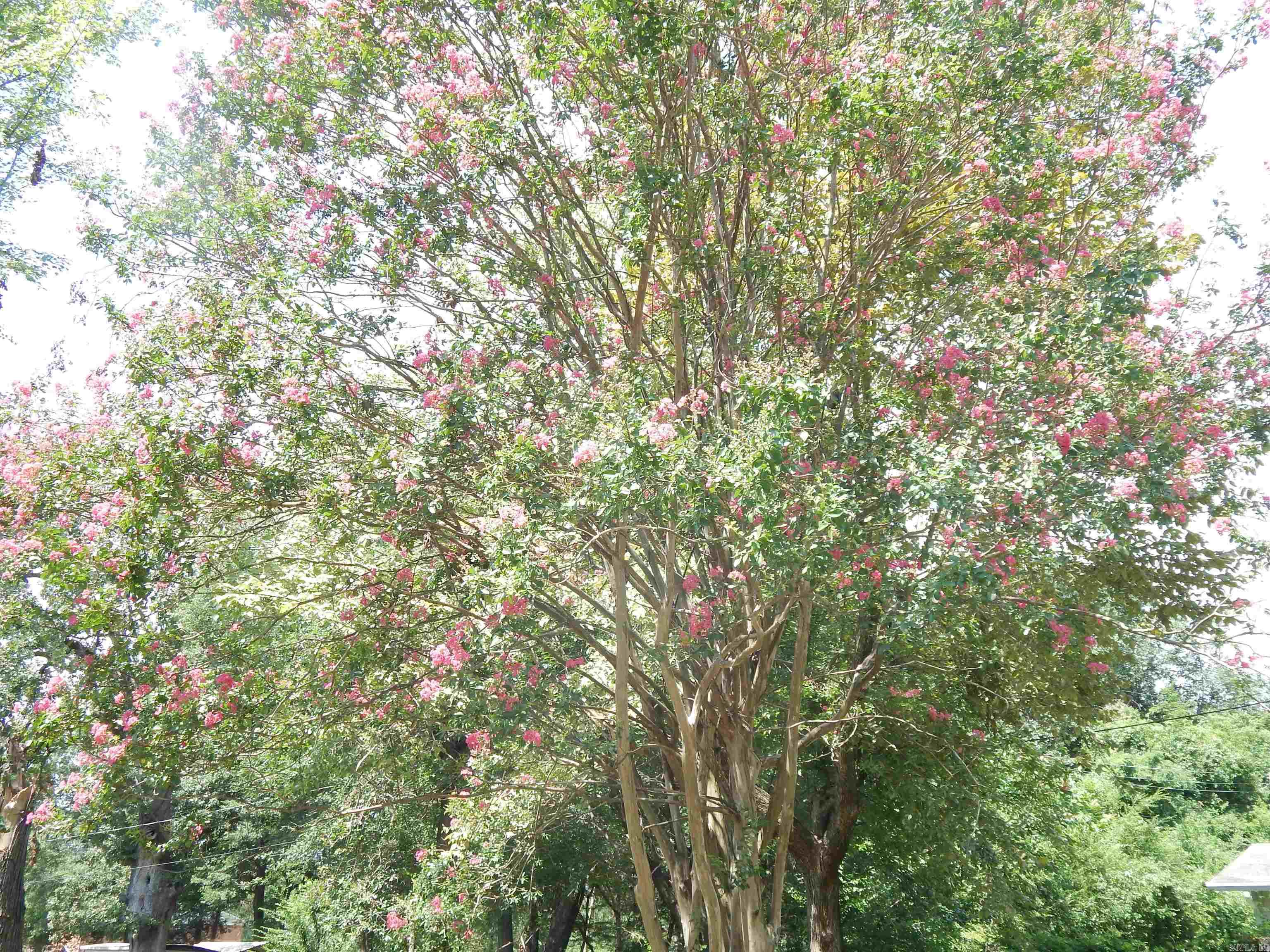 DEERWOOD ADDN - Residential