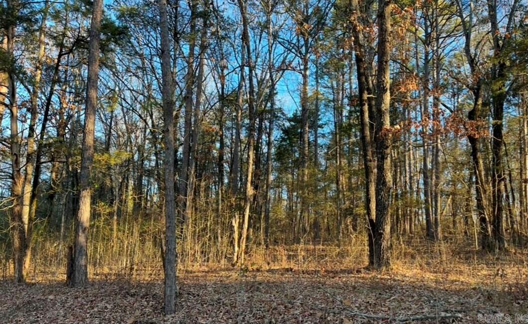 Lots 9 & 10 on Kip Lane in Sedgefield Subdivision. Located south of the town of Clinton in a charming, quite residential neighborhood. Convenient location to everything you want and need hospital, medical clinics, schools, shopping, restaurants. The beautiful Greers Ferry Lake is just miles aways. Have fun fishing, skying, swimming, boating camping, biking, and hiking. All minerals convey with this property.