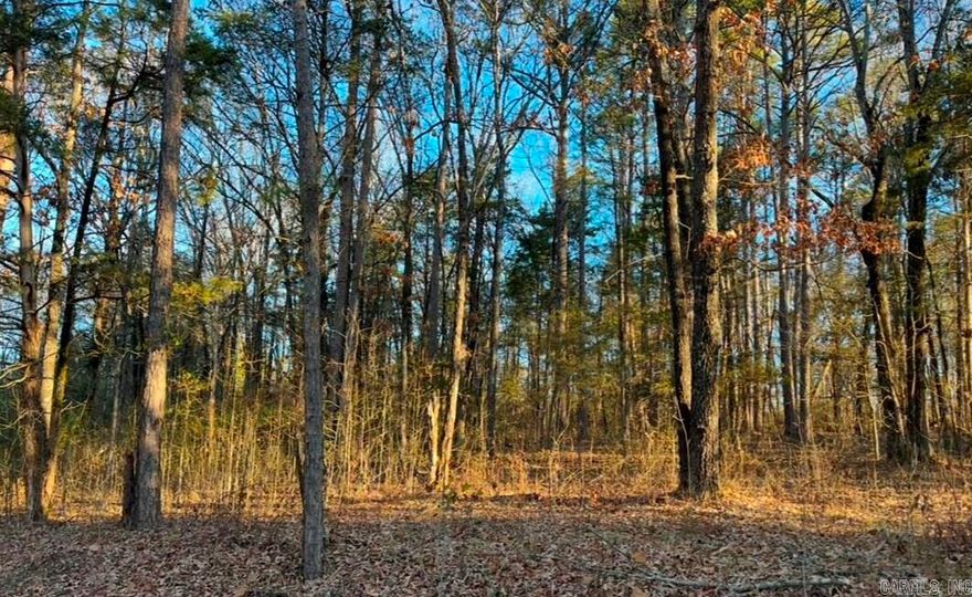 Lots 9 & 10 on Kip Lane in Sedgefield Subdivision. Located south of the town of Clinton in a charming, quite residential neighborhood. Convenient location to everything you want and need hospital, medical clinics, schools, shopping, restaurants. The beautiful Greers Ferry Lake is just miles aways. Have fun fishing, skying, swimming, boating camping, biking, and hiking. All minerals convey with this property.