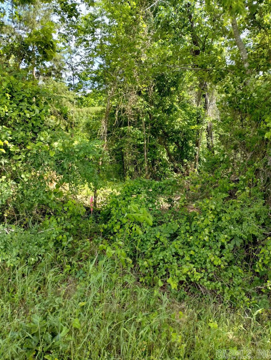 Fantastic, affordable building site available close to Centerpoint school district.  Tucked back in the trees, this 3.25 acres allows for privacy and seclusion.