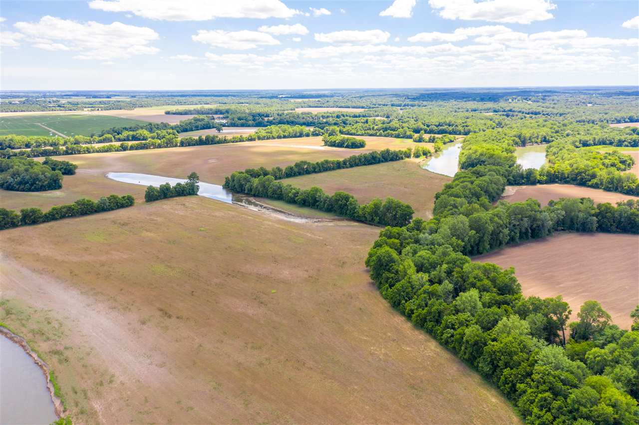 Hunters paradise, where the Spring River and the Black River meet, tons of possibilities with this land.307 +/- is crop land which raises soybeans, wheat and sorghum.Tons of White tail deer bedding in the tree lines and so many places to make you duck blinds.This could be a true hunting place with little effort but would be one of the most incredible places ever.This is a must get on it to see its value both hunting and row crop.  Price was just dropped and owner is ready to sell.