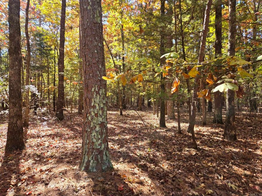 Discover the perfect canvas for your dream home at Lot 149 Grenada Circle in Fairfield Bay, Arkansas. Nestled within the prestigious Grand Isle Subdivision, this stunning level lot offers a serene and picturesque setting. Enjoy breathtaking partial lake views and the natural beauty of abundant pine and hardwood trees. Imagine building your custom residence in one of the most desirable areas on Greer's Ferry Lake, where tranquility and recreational opportunities abound. Lot 149 Grenada Circle is a rare gem that won't last long. Don't miss your chance to own this exceptional property and create the lifestyle you've always envisioned.