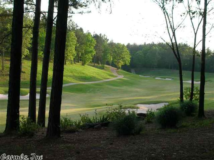 Golf and Mountain Views await you on this fairly level lot on Granada's #5 hole.  Picture 8 through 20 are pictures of the Hot Springs Village.  Picture 9 is the Granada Clubhouse and waterfall cascading down the 18th hole.  Picture 10 is a view of the 10th hole of Granada.