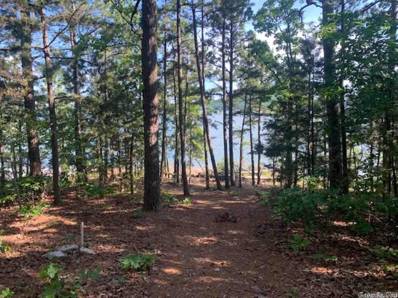Looking for a place by the water for a cabin. Check this property out. There is a Well for water and electric on the lot. A composting toilet will be needed on this site. Septic system that is currently on property will not meet state requirements unless you do compost toilet. .24 acre across the street from the lake, .09 acre lake front. Gentle walk to water. Boat launch just down the road. Some photos taken below the white line.