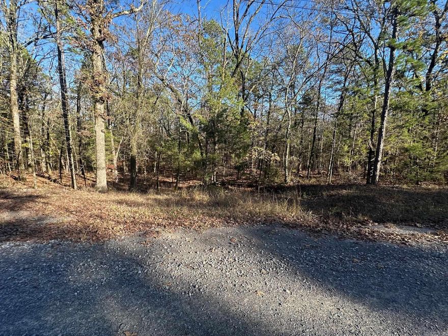 Timber Lake S/D lot right off Hwy. 2.28 acres. Considered "lake front" as it borders Corp of Engineers "White" line.  Fairly Level, long easy walk to shoreline.  No mobiles allowed. CC&Rs say ground floor 1,000 sf.  Lots of trees to block from Hwy noise.