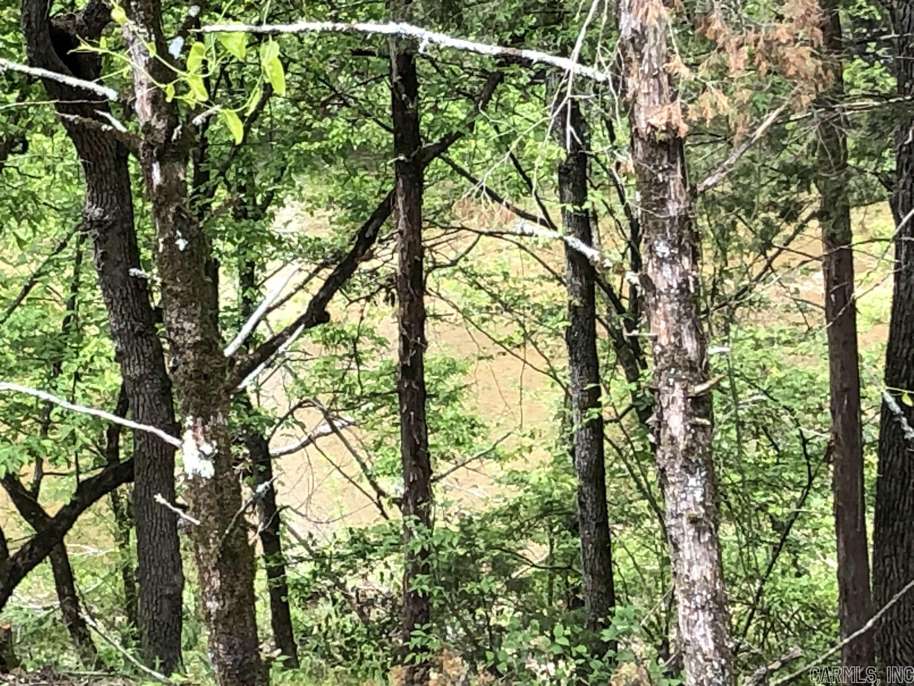 THE NARROWS - Residential