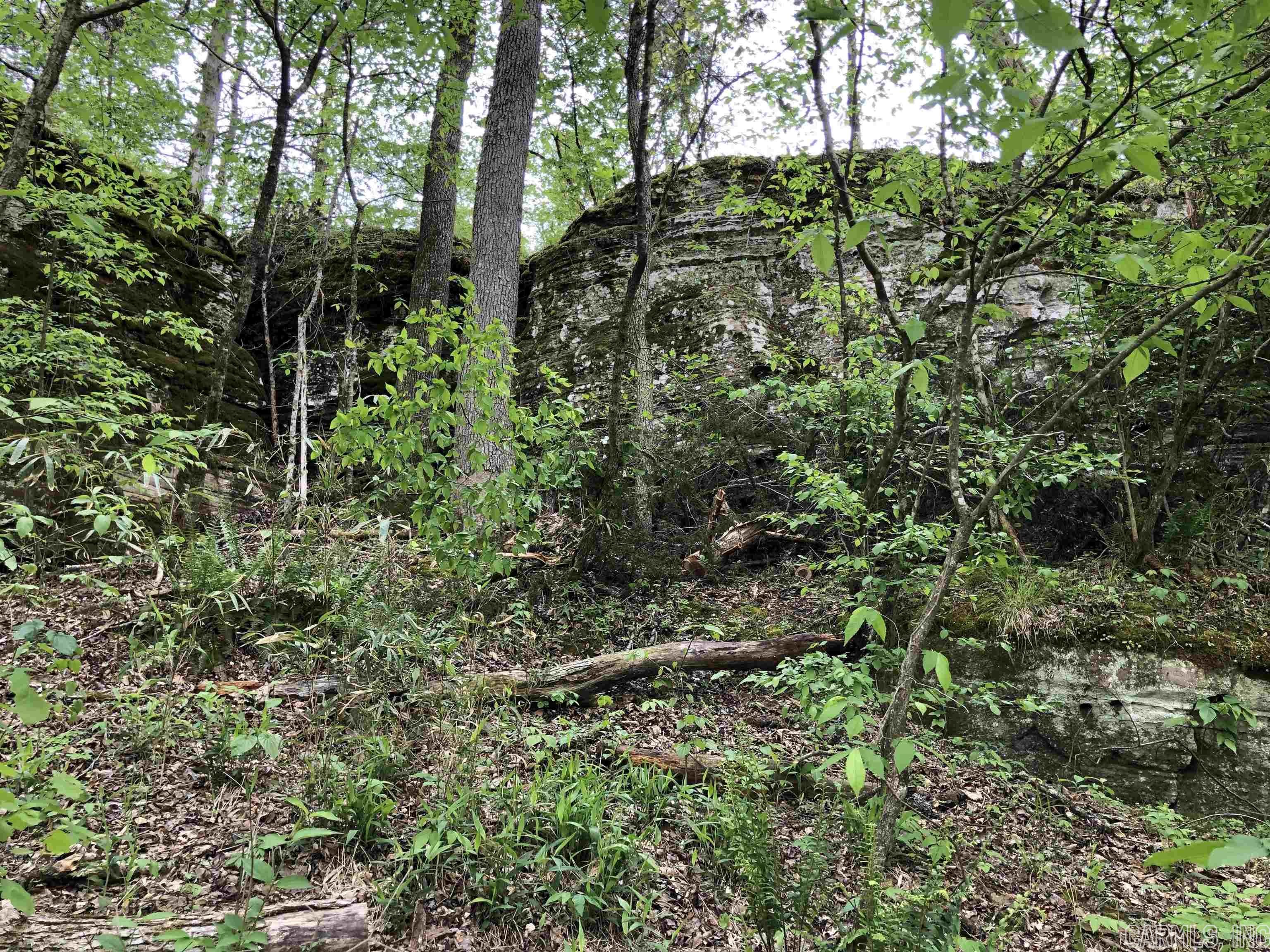 THE NARROWS - Residential