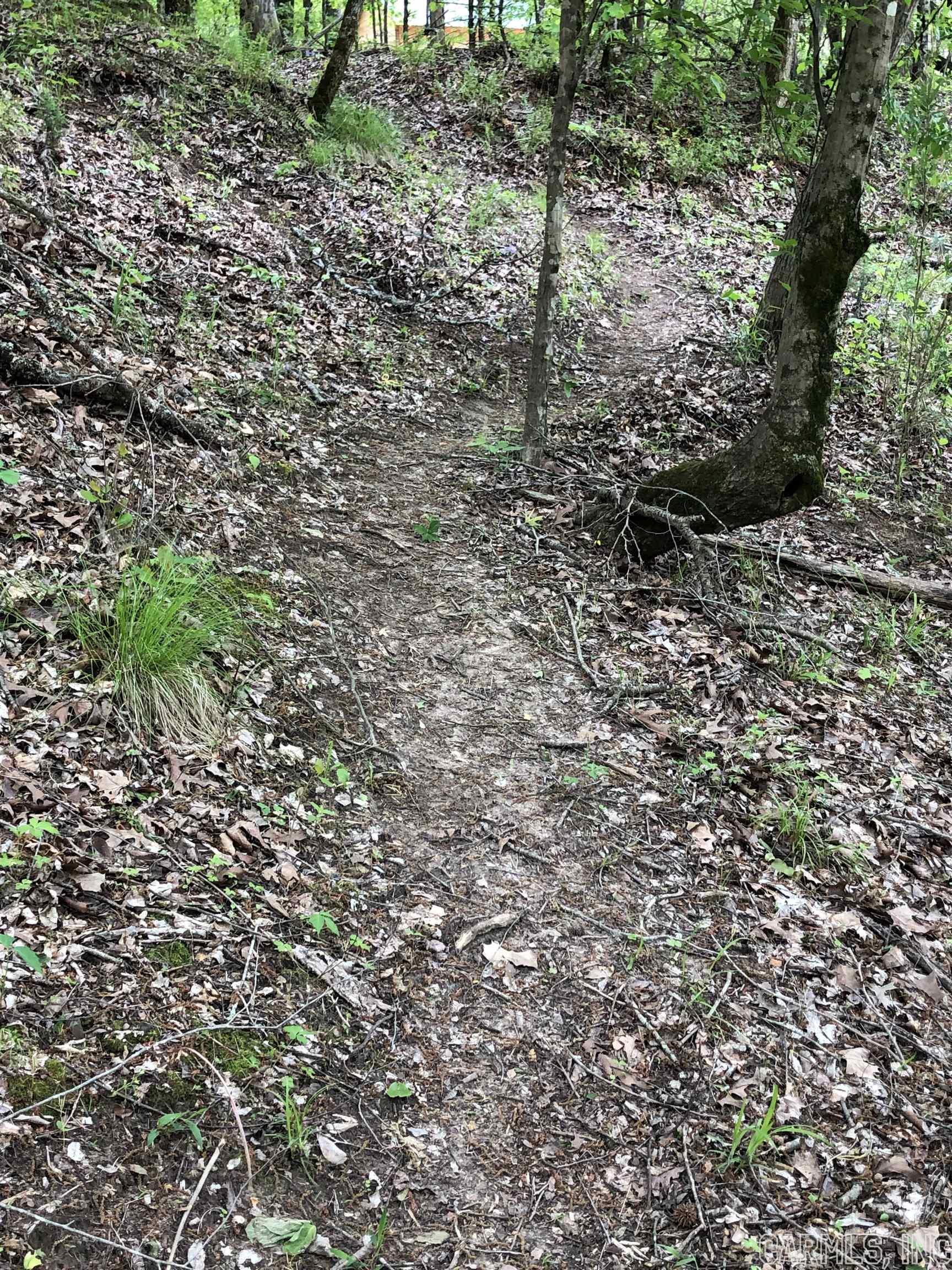 THE NARROWS - Residential