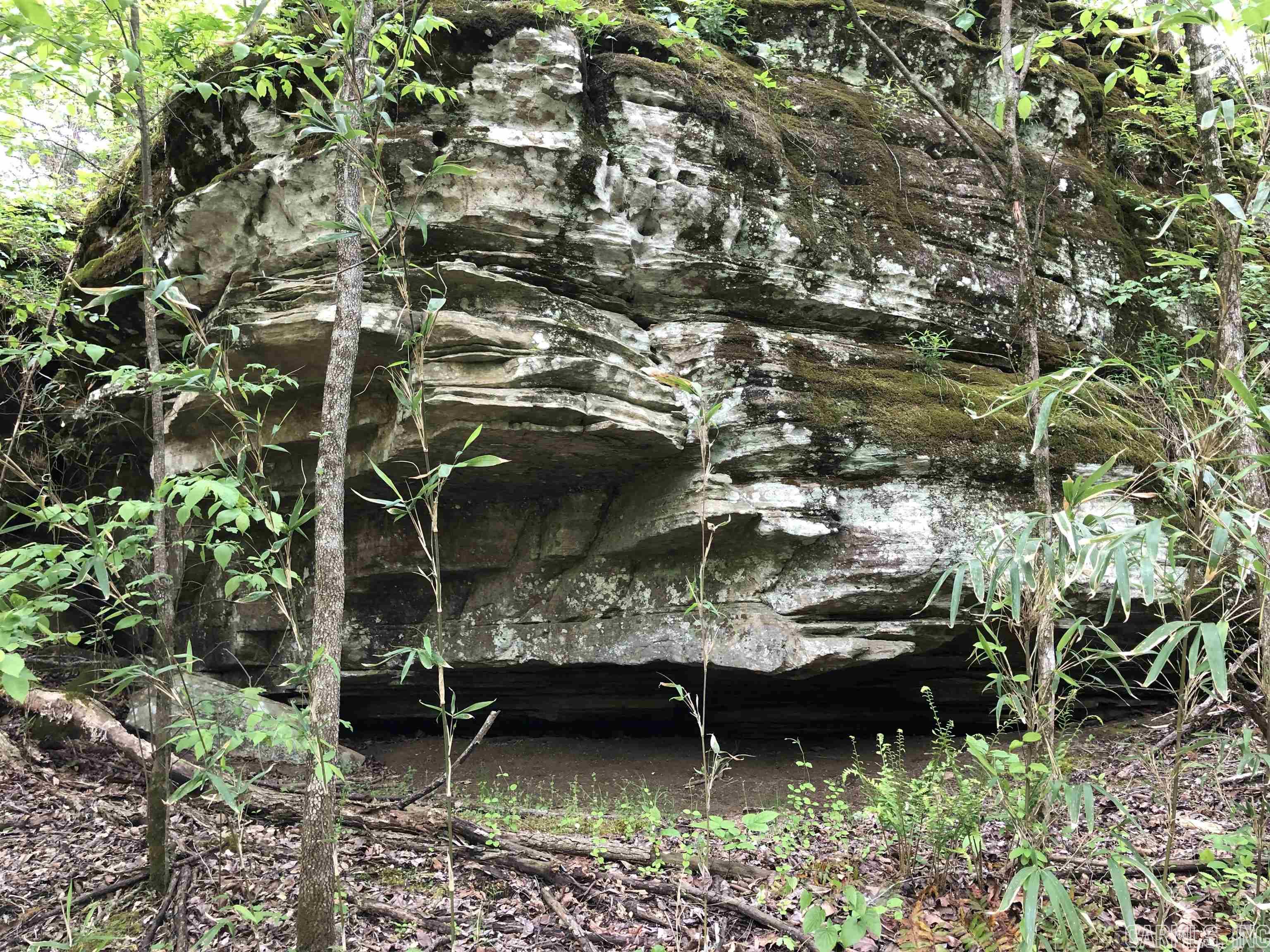 THE NARROWS - Residential