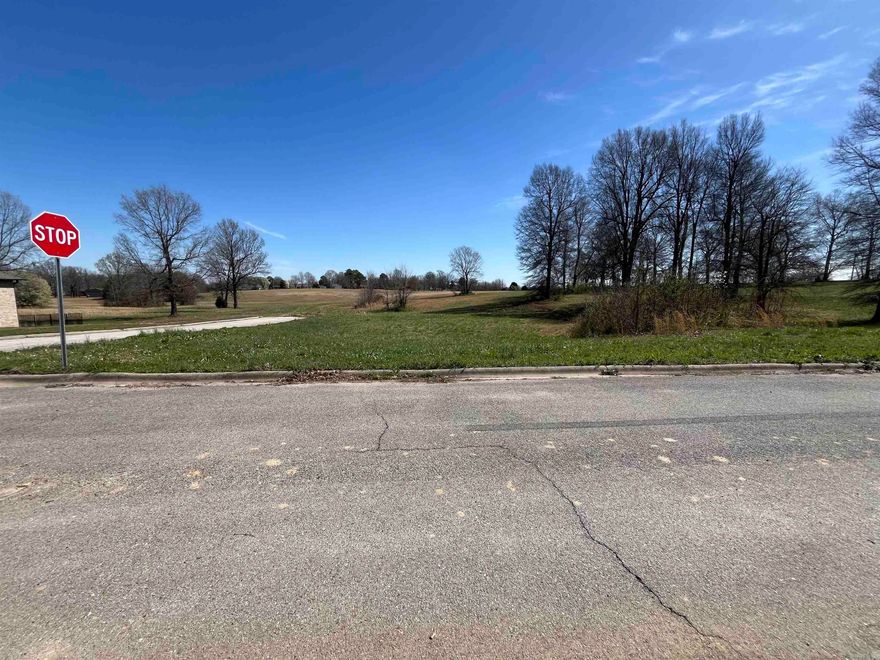Perfect place to call home.  This corner lot is one of four building lots that the seller has available on this street. Also a great place to build spec homes and build your portfolio!