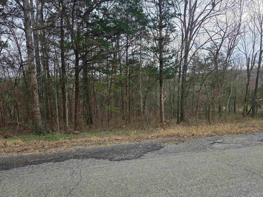 Wonderful and wooded lot in the heart of Cherokee Village. Near the North Golf Course. Secluded and away from it all. But close to a main road for quick exits from the Village for shopping, dining and entertainment. Buy this lot and pick your spot to build your dream home or just a getaway cabin. With ownership of this lot you will have access to all the amenities of Cherokee Village such as the 7 lakes and Two 18-hole golf courses also the Thunderbird Center and swimming pool, mini golf, parks, hiking trails and don't forget about the beautiful Southfork River for fishing, kayaking or just floating down to wet your toes. This is a wonderful lot to purchase and plan for your future home. Call to purchase this one.