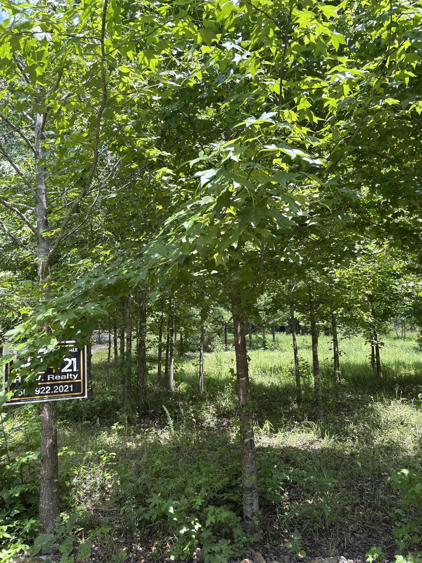 Charming Wooded Lot in The Village – Perfect for Your Dream Home! Nestled in a peaceful cul-de-sac within The Village, this serene wooded lot offers the ideal setting for building your dream home. With a level building site, it’s ready for your vision to come to life. Enjoy the tranquility and privacy of the area, while being just minutes away from stunning lakes, scenic golf courses, and a variety of local amenities. The neighborhood is known for its friendly atmosphere and excellent location—centrally positioned to provide easy access to all the best that The Village has to offer. Whether you’re an outdoor enthusiast, a golf lover, or someone looking to enjoy a quiet, convenient lifestyle, this lot offers the perfect foundation for your next chapter. Don't miss out on this rare opportunity to build in one of the most sought-after areas in The Village!