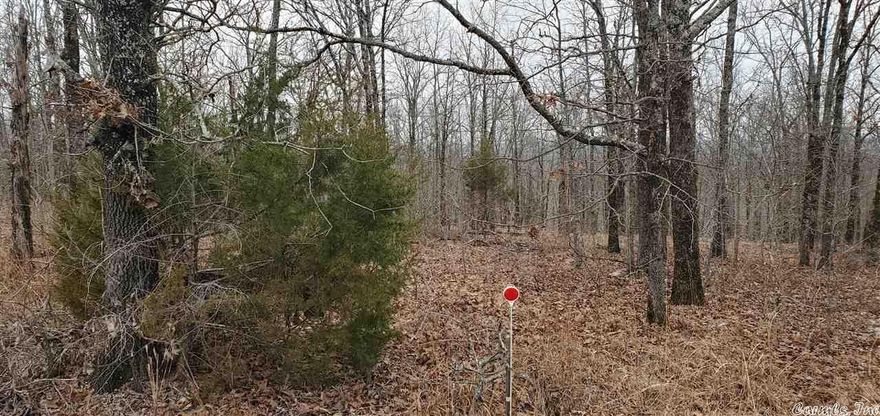 8 acres of woods with 330 feet of frontage along Allen Drive.  Great hunting and possible place to build a home or cabin.  Electricity is along Allen Drive.  No City water available.  Local properties have wells and water seems to be available by well.   This is right next to another 19 acres that is available that has  an unused well on it.     It is in a rural subdivision but has no housing restrictions.  Mobile homes allowed.  This should be your place.