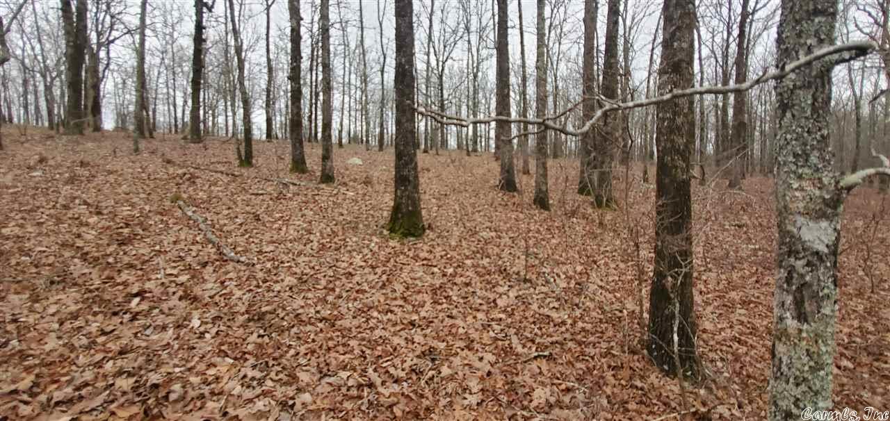 Whisperwood Heights - Land