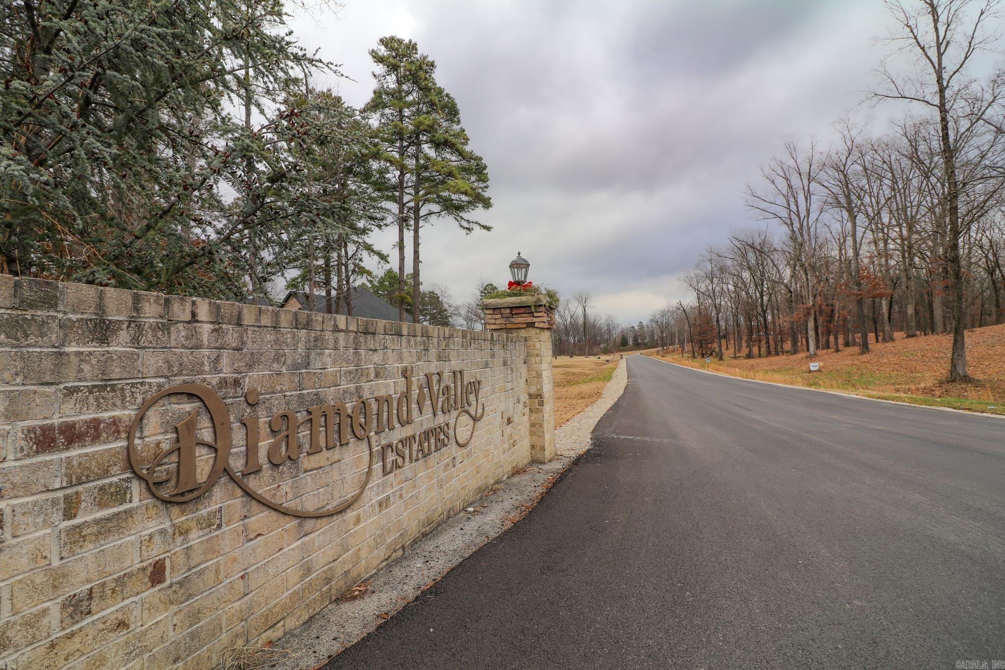 Beautiful building lot in Phase II of Diamond Valley Estates. This gorgeous lot is 3.0 acres, located near Caraway Road and CR 4241. Electricity, water, and natural gas available. This lot is right on the outskirts of Jonesboro city limits, just minutes from town. With beautiful trees, it would make a beautiful spot for your dream home. Additional lots available.