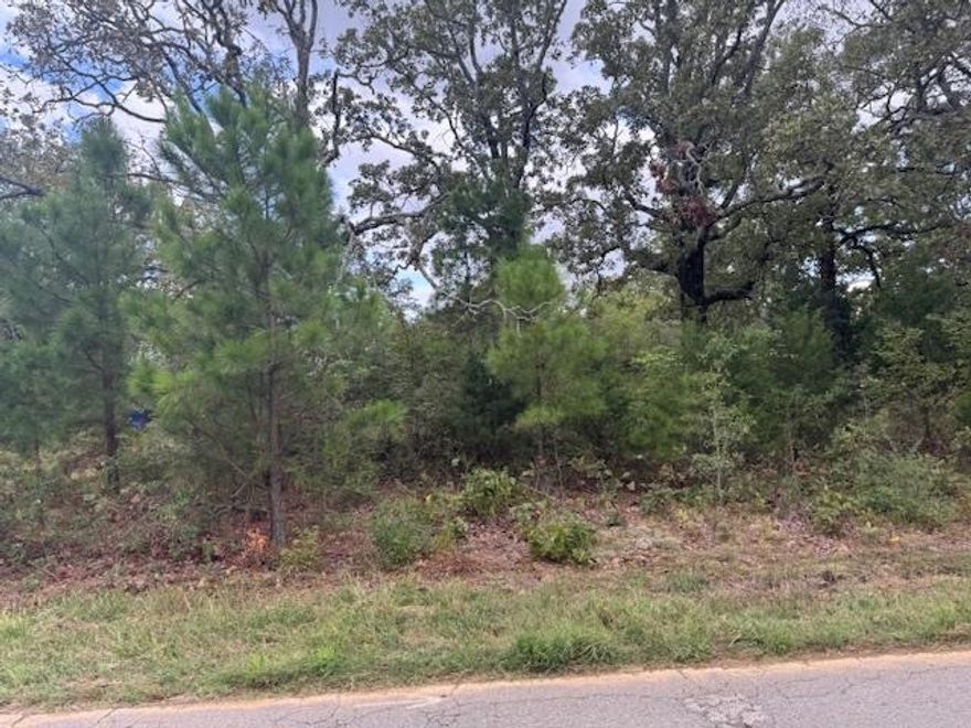 +/- 7.03 acres with detached improvement built approximately in 1962 and shed in downtown Conway. Close to dining, shopping, and schools. Sold before listed.