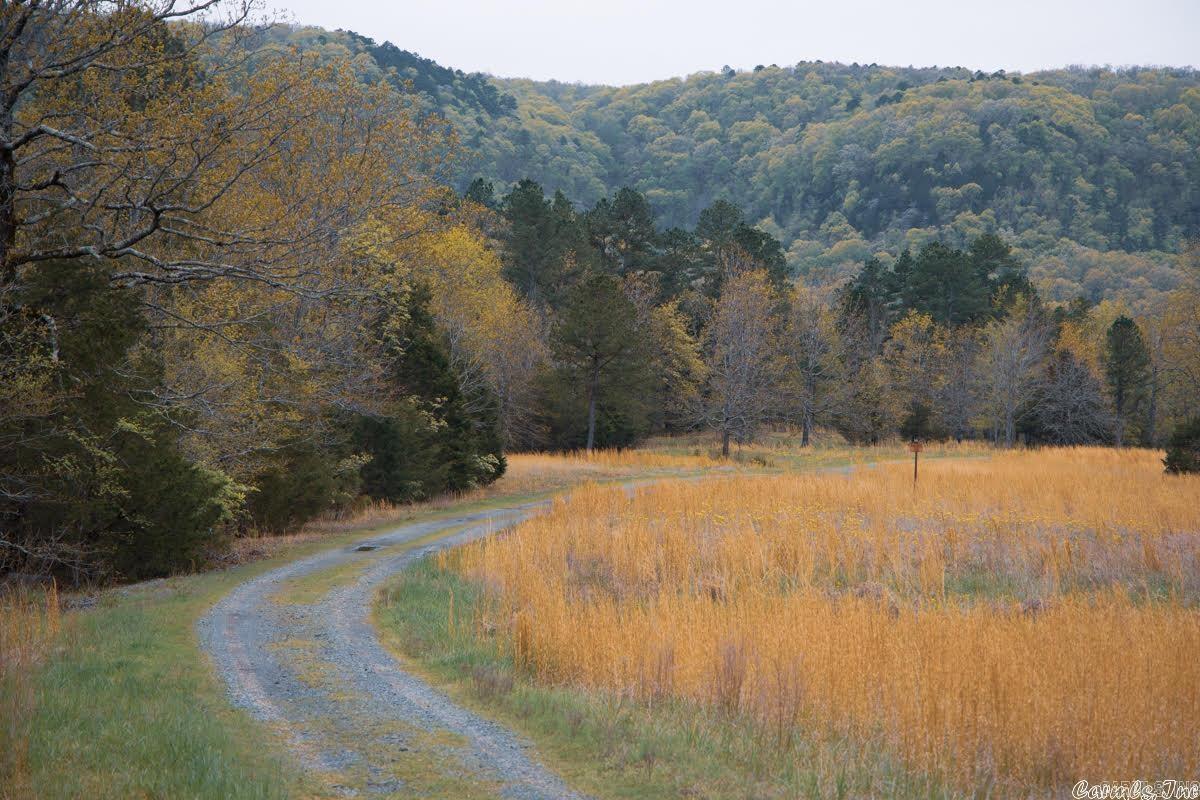Primrose Creek Sayles - Land