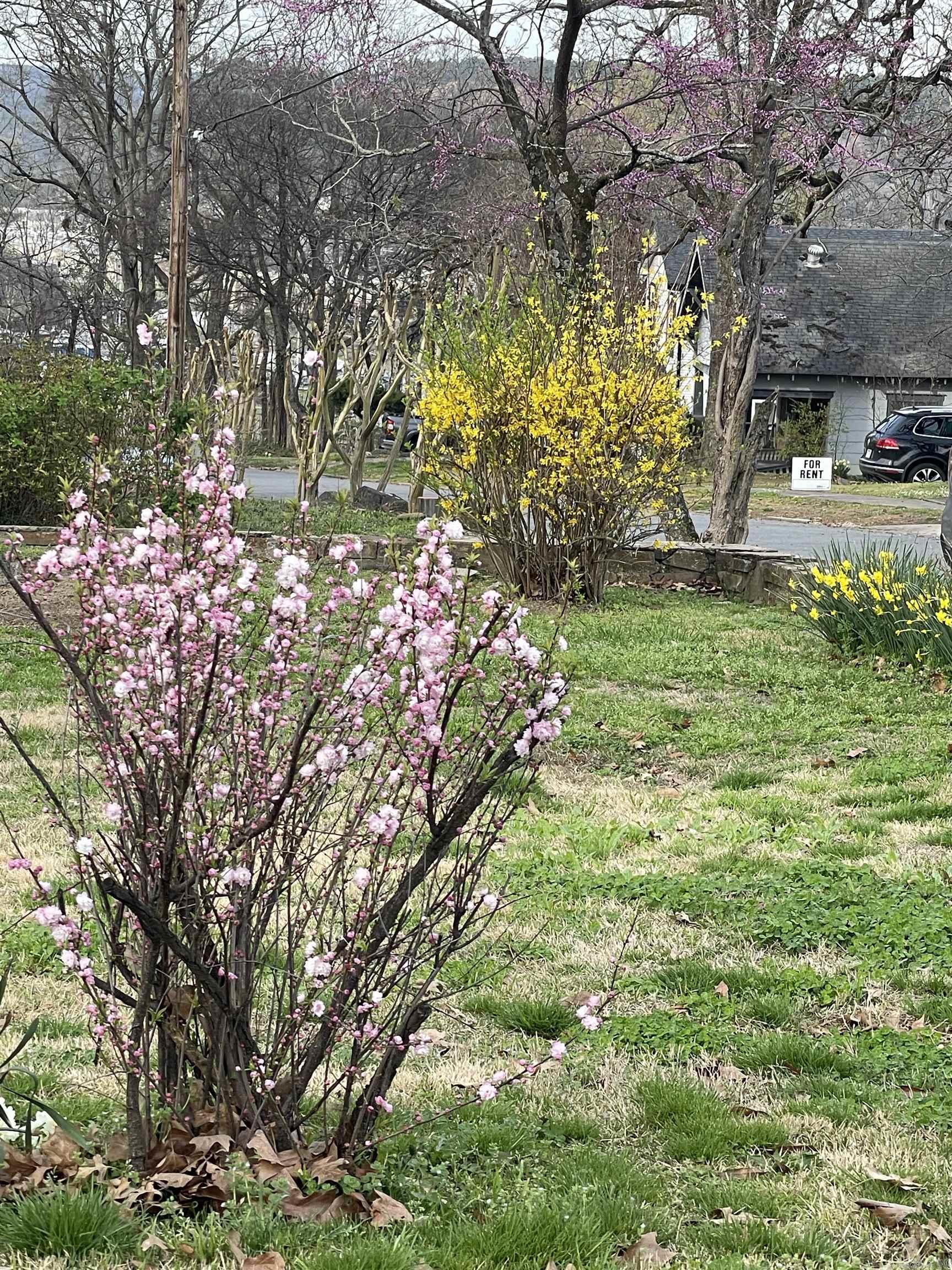 EAST PULASKI HGTS - Residential