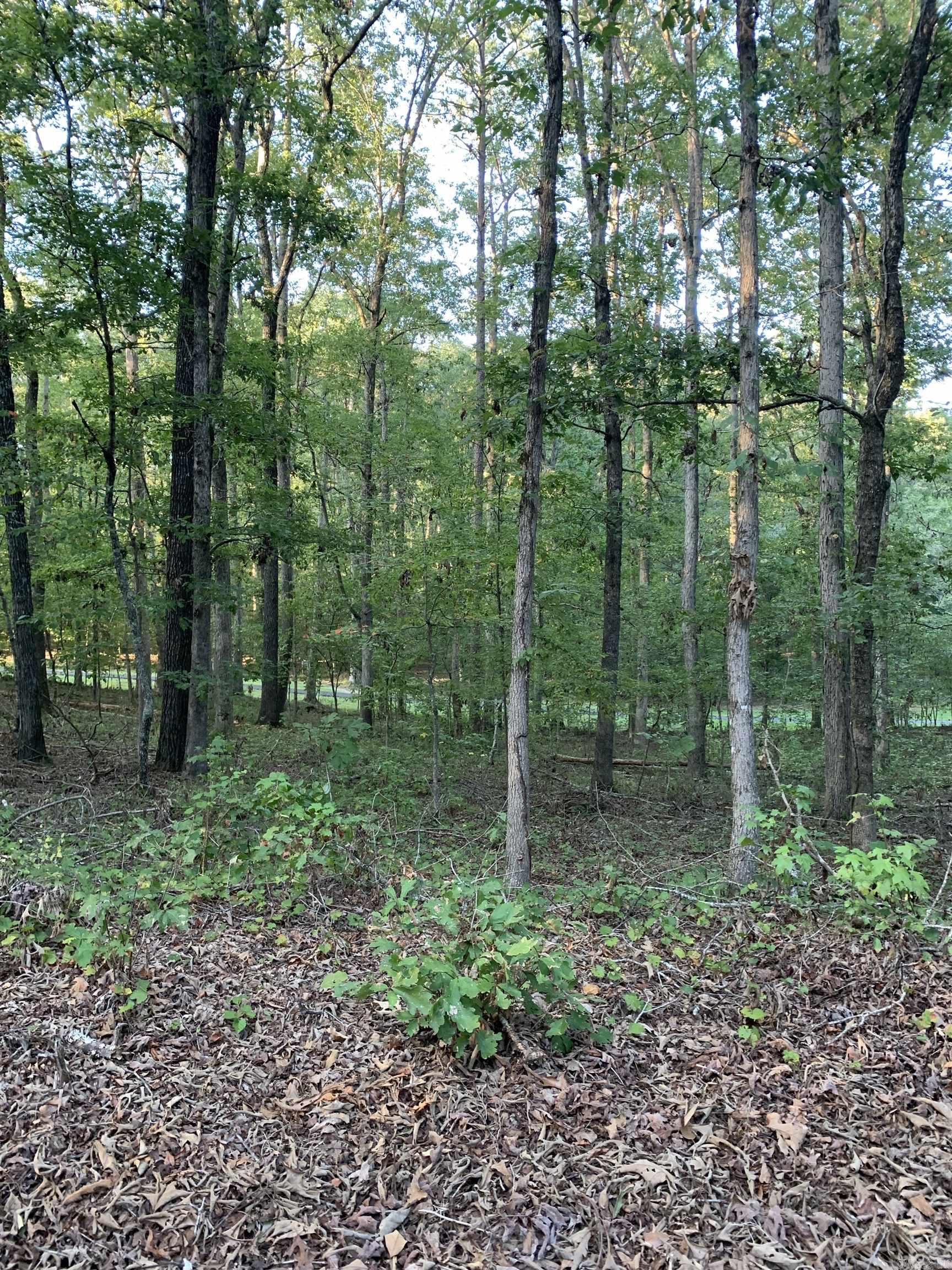 Beautiful building lot in Hot Springs Village located on Cortez Golf Course! Make this one yours and begin enjoying all the Village amenities. New buyers to the Village have a $300.00 buy in fee payable to the POA at closing.