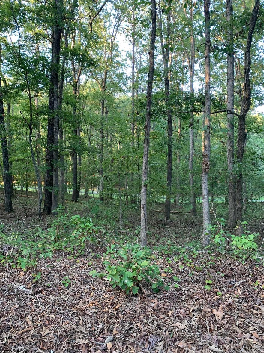 Beautiful building lot in Hot Springs Village located on Cortez Golf Course! Make this one yours and begin enjoying all the Village amenities. New buyers to the Village have a $300.00 buy in fee payable to the POA at closing.