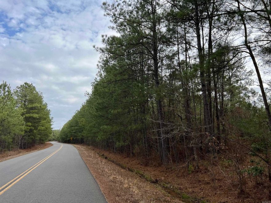 This 15-acre tract is located in Dallas County, just 3.5 miles north of Sparkman. This tract was planted with pine trees in 2012, making it an excellent timber investment. There are utilities nearby, such as electricity and water. This tract can also be used as a recreational tract with deer and turkey present on the property.