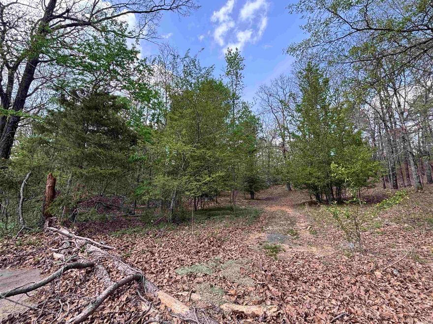 Endless possibilities await on this 11-acre tract in Sherwood! Perfect for a private homesite or future residential development, this property offers a rare opportunity to bring your vision to life.