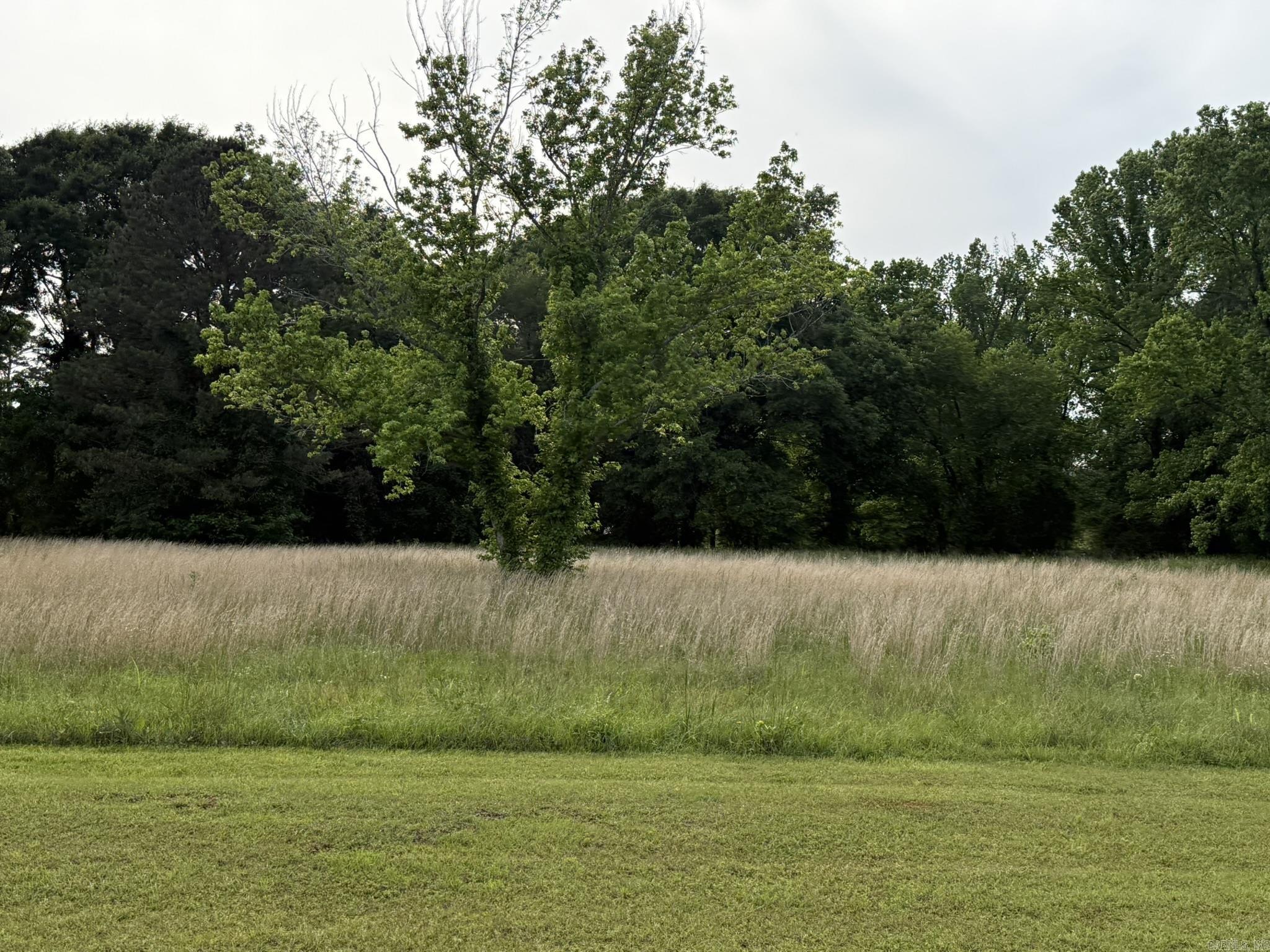 TOLAND HEIGHTS - Land