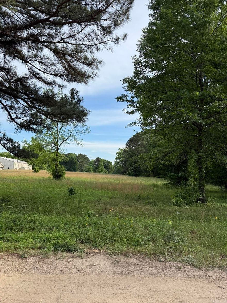 5 acres, inside the city limits, city water and city sewer available.  Minutes from Walmart and Main Street yet with a country setting.  Perfect house place to build a dream home, could be utilized with 14 existing surveyed lots for investment opportunity. Contact our office for more details.