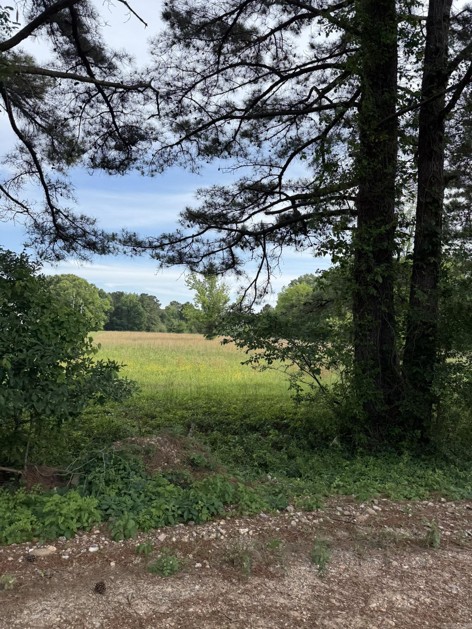 TOLAND HEIGHTS - Land