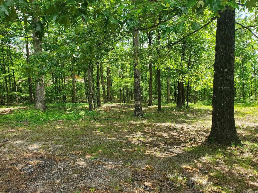 Beautiful wooded lot with city utilities available.  Dead end street. Ready to build on. Some restrictions.