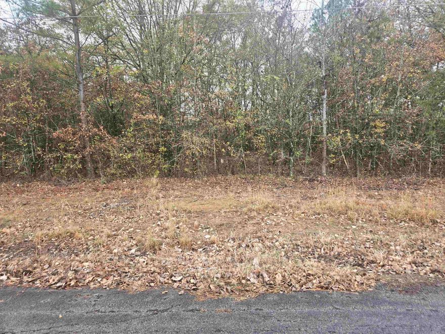 Beautiful lot ready to build on! Utilities at road. Out of city limits. Restrictions are in attached docs. New survey available and also in docs. Private and mostly wooded lot. 1 acre.