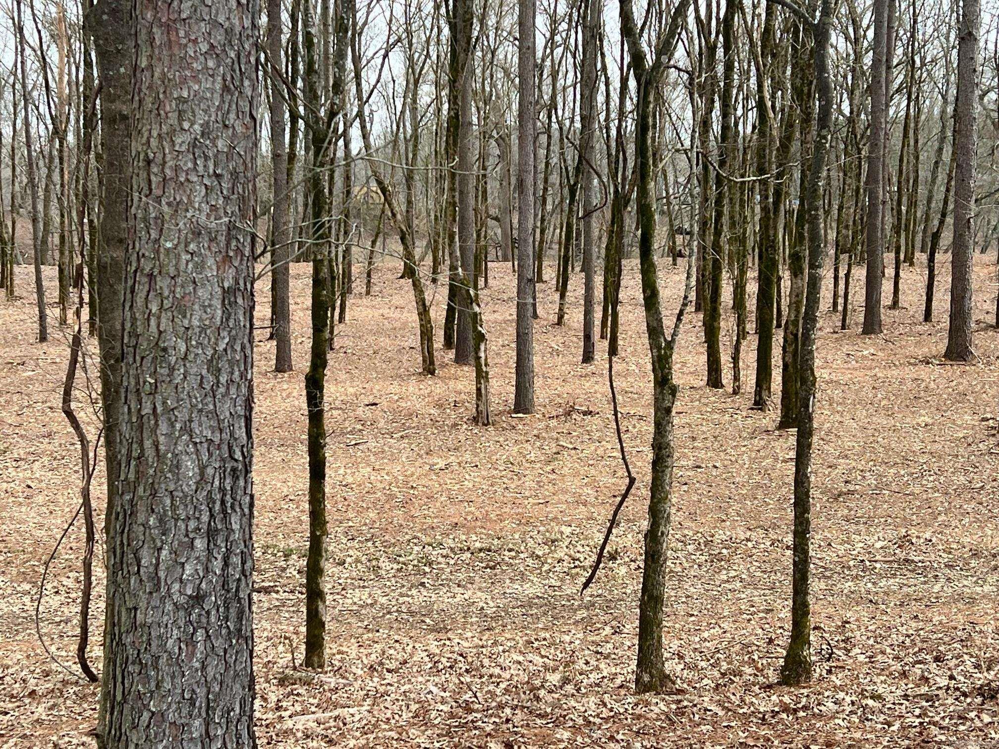 RIVER CREEK ESTATES - Land