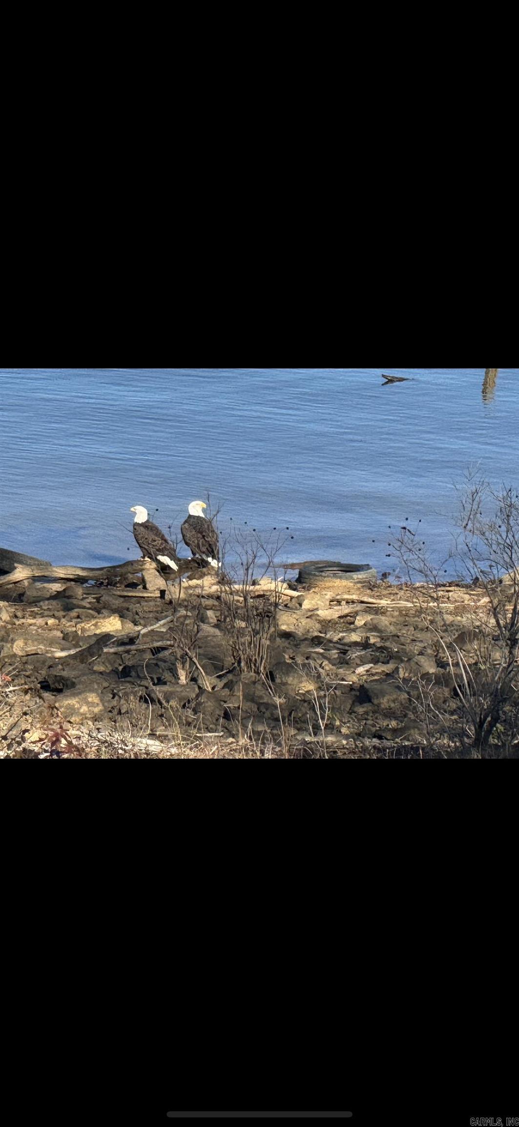 SKYPOINT ESTATES - Residential