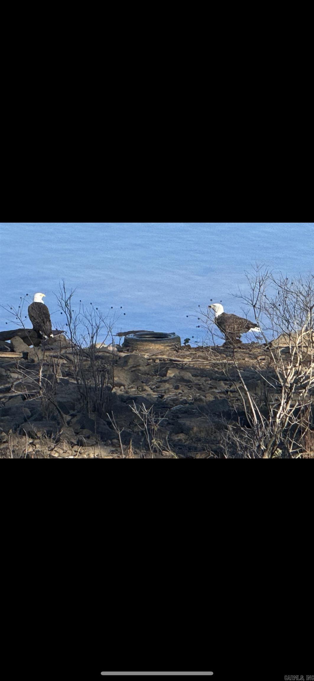 SKYPOINT ESTATES - Residential