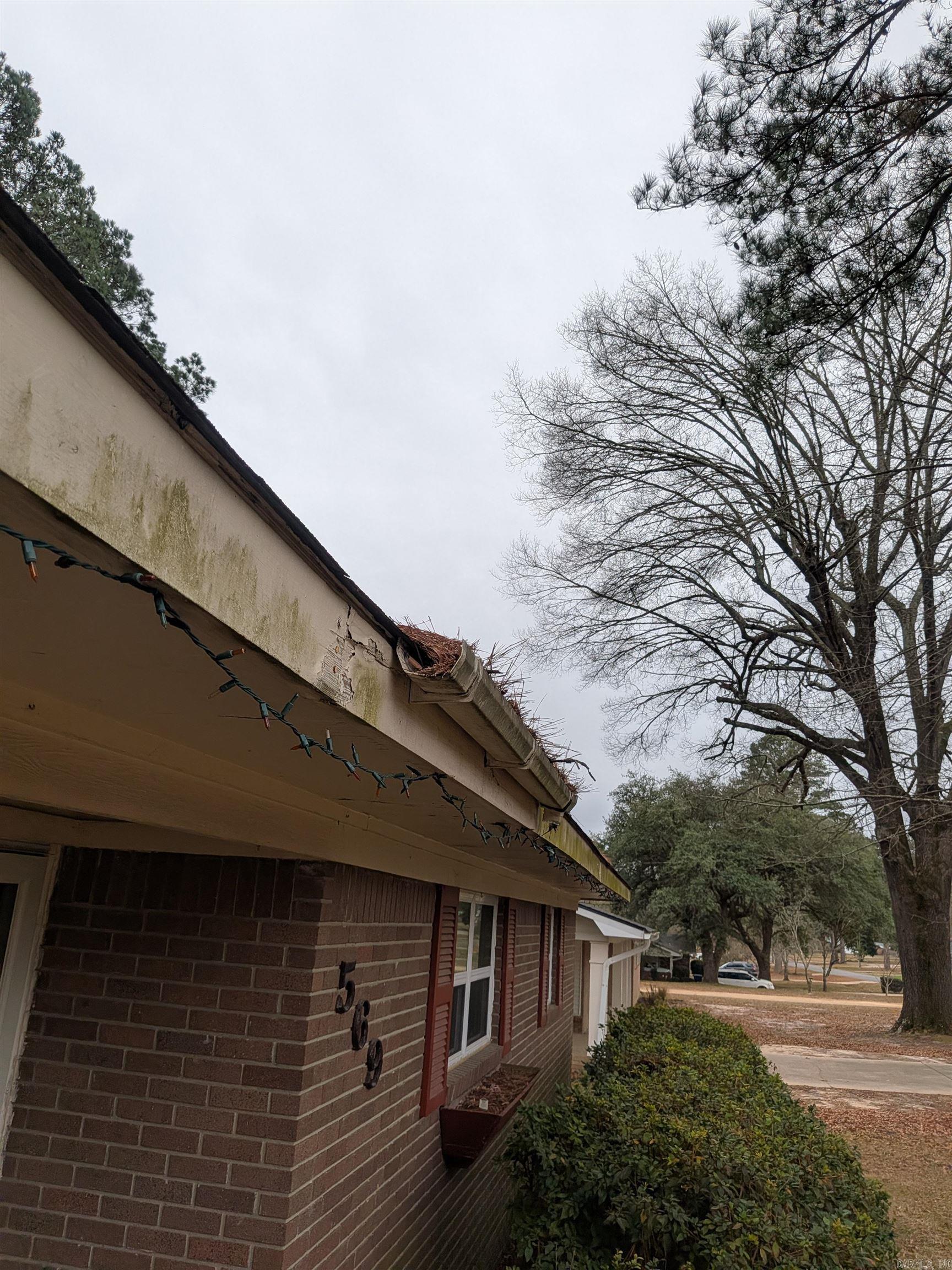 MIKE BERG LAKE - Residential