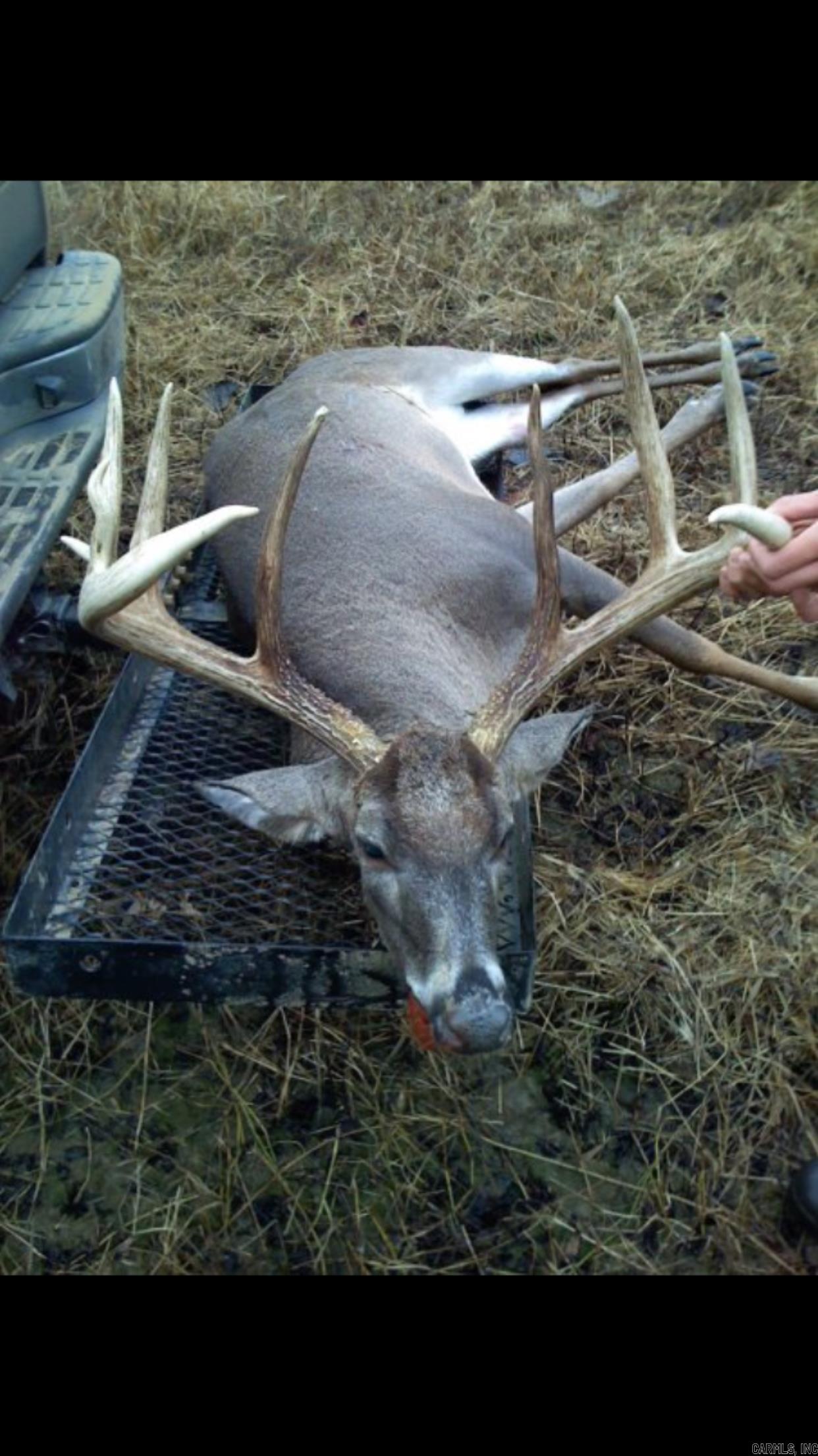 Metes & Bounds - Land