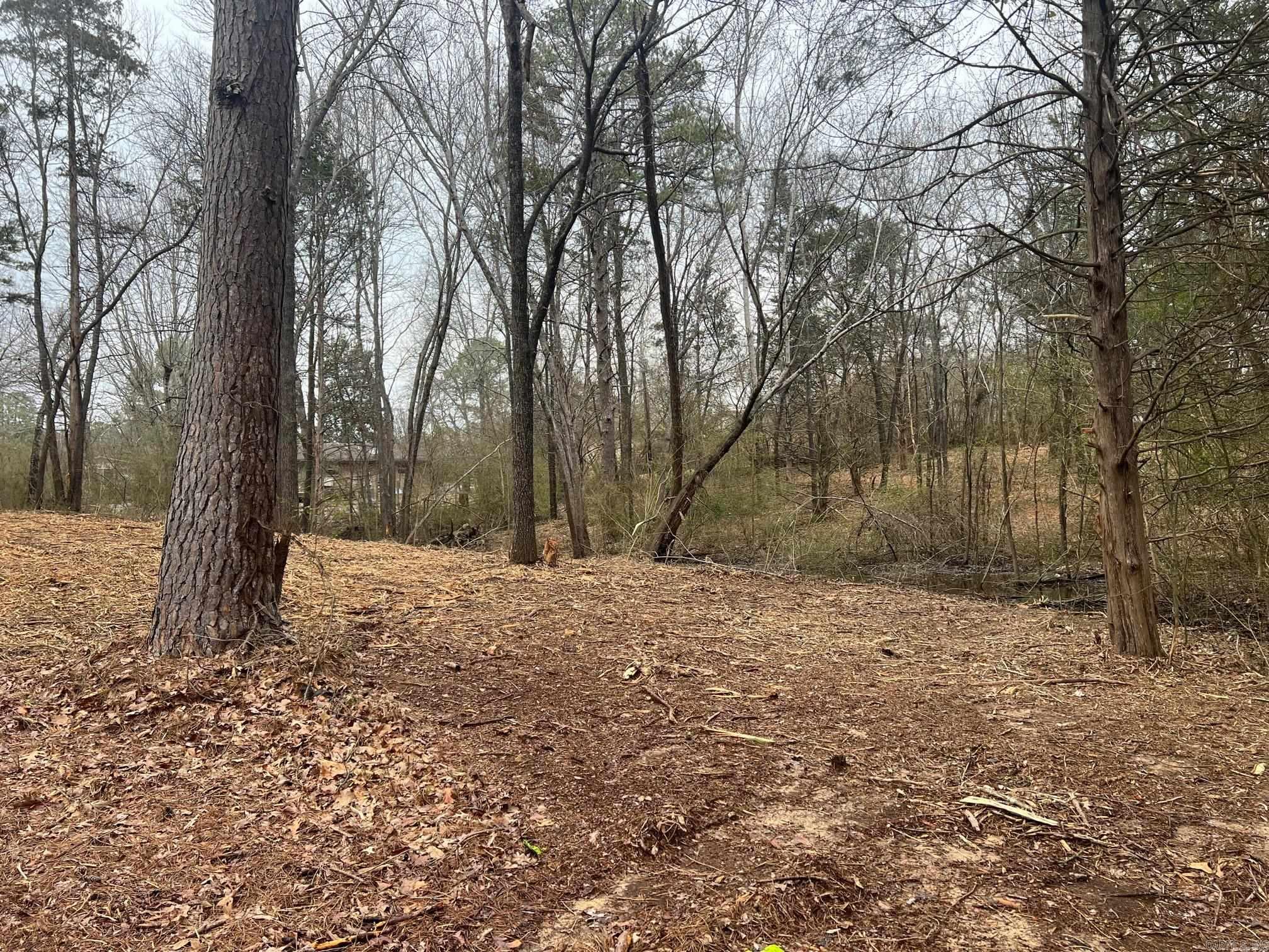 4 lots in Heber Springs, access off Huntington Place