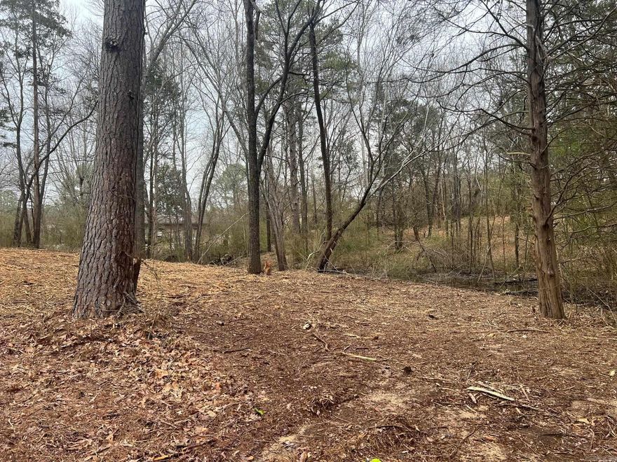 4 lots in Heber Springs, access off Huntington Place
