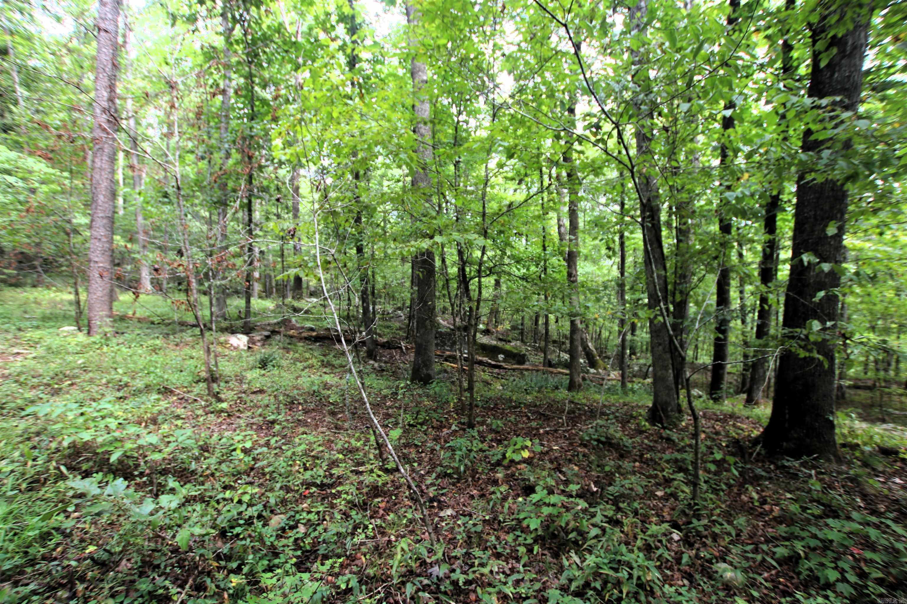 Not in Subdivision - Land