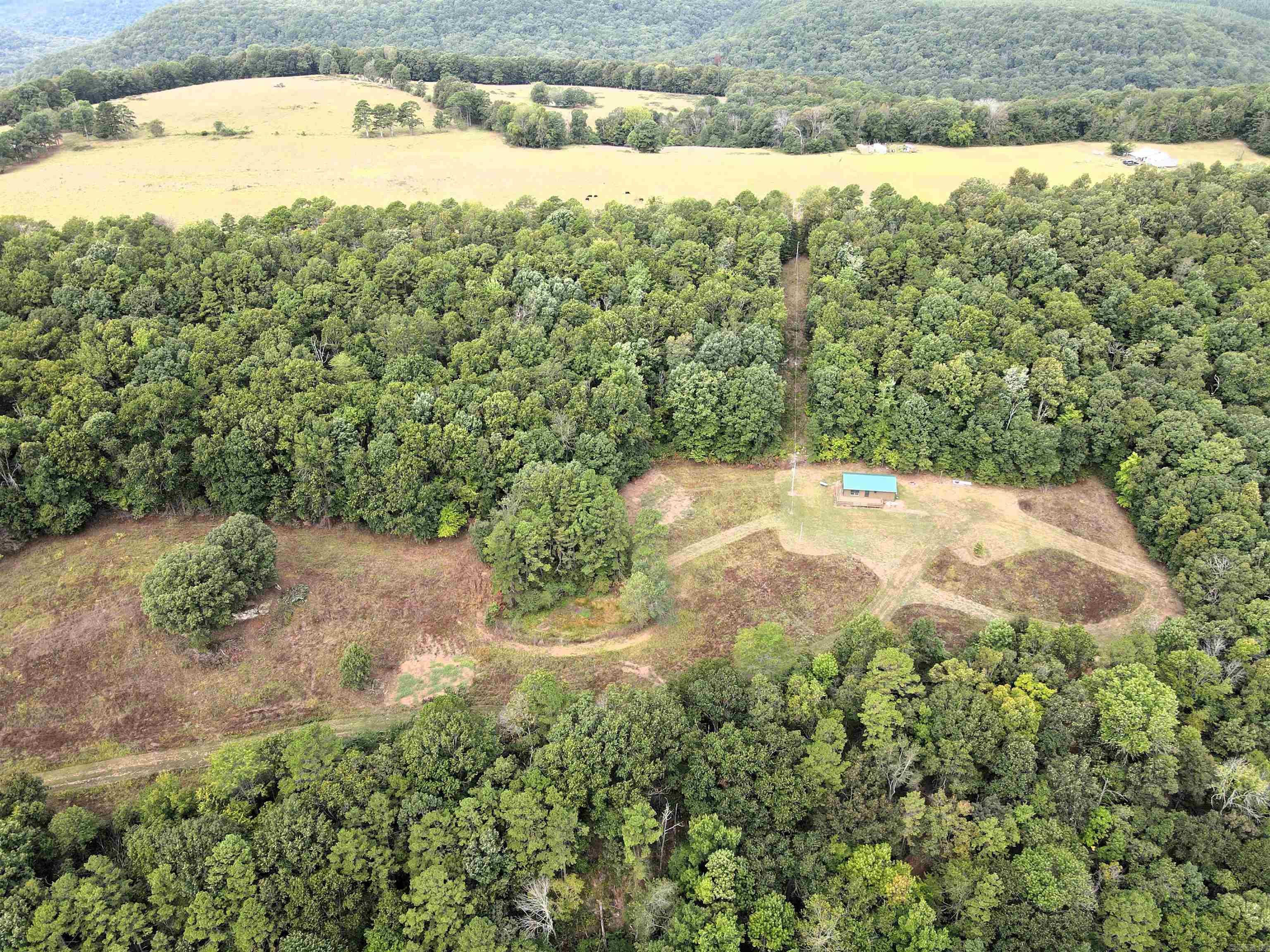 - 37.5 +/- acres of timber - 4.5 +/- acres of pasture - Mature hardwood mix - Heavy mast producing trees - 5 bed/2 bath cabin - Great topography - Paved road frontage - Beautiful rock formations - Incredible hunting for deer, turkeys, bears & hogs - 18 miles to Clinton - 35 miles to Morrilton