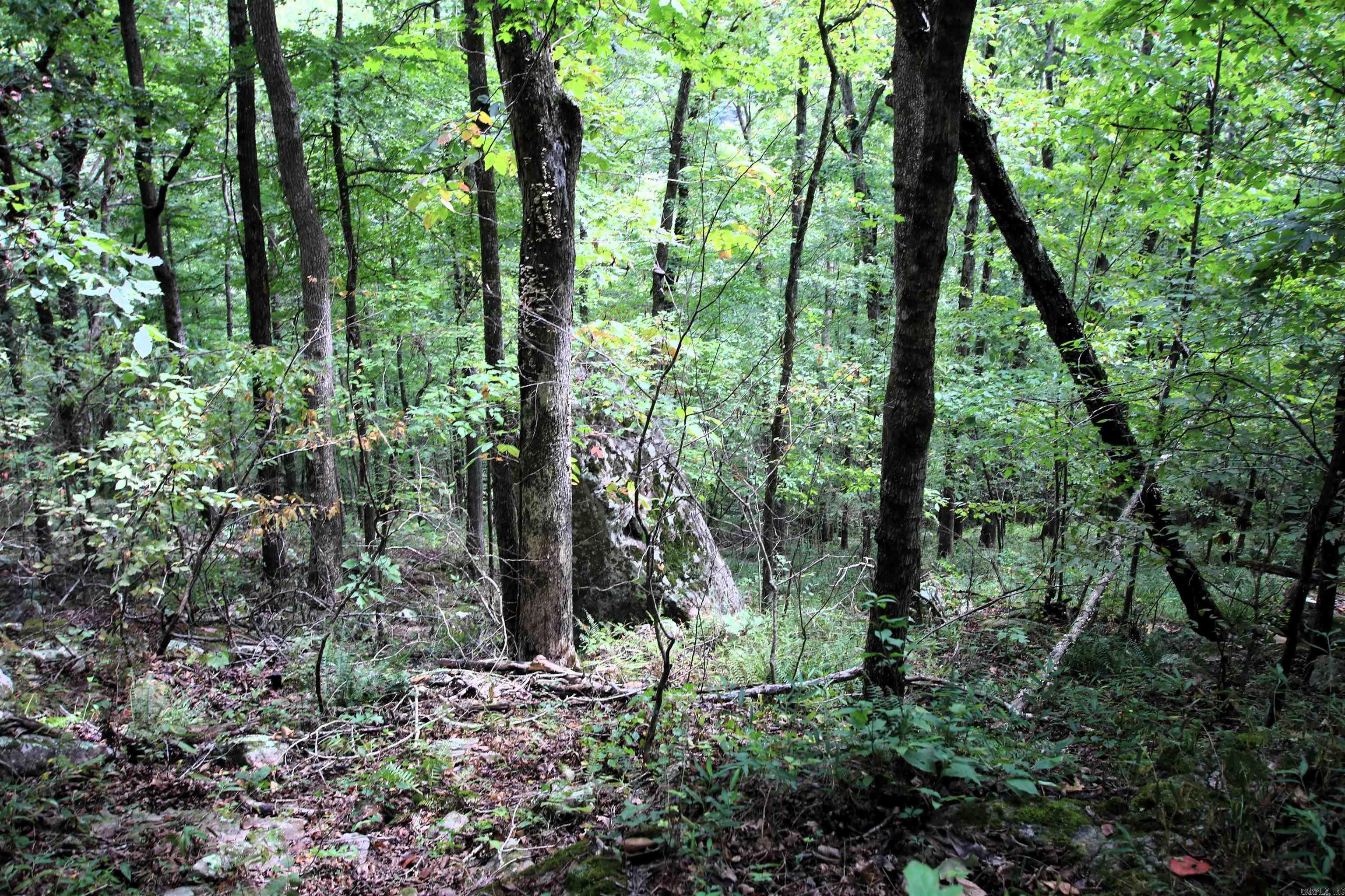 Not in Subdivision - Land