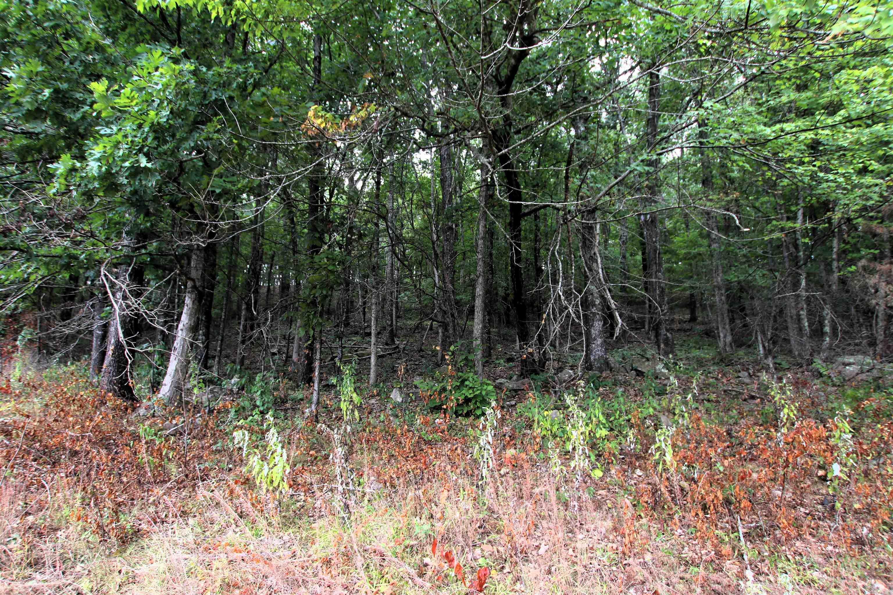 Not in Subdivision - Land