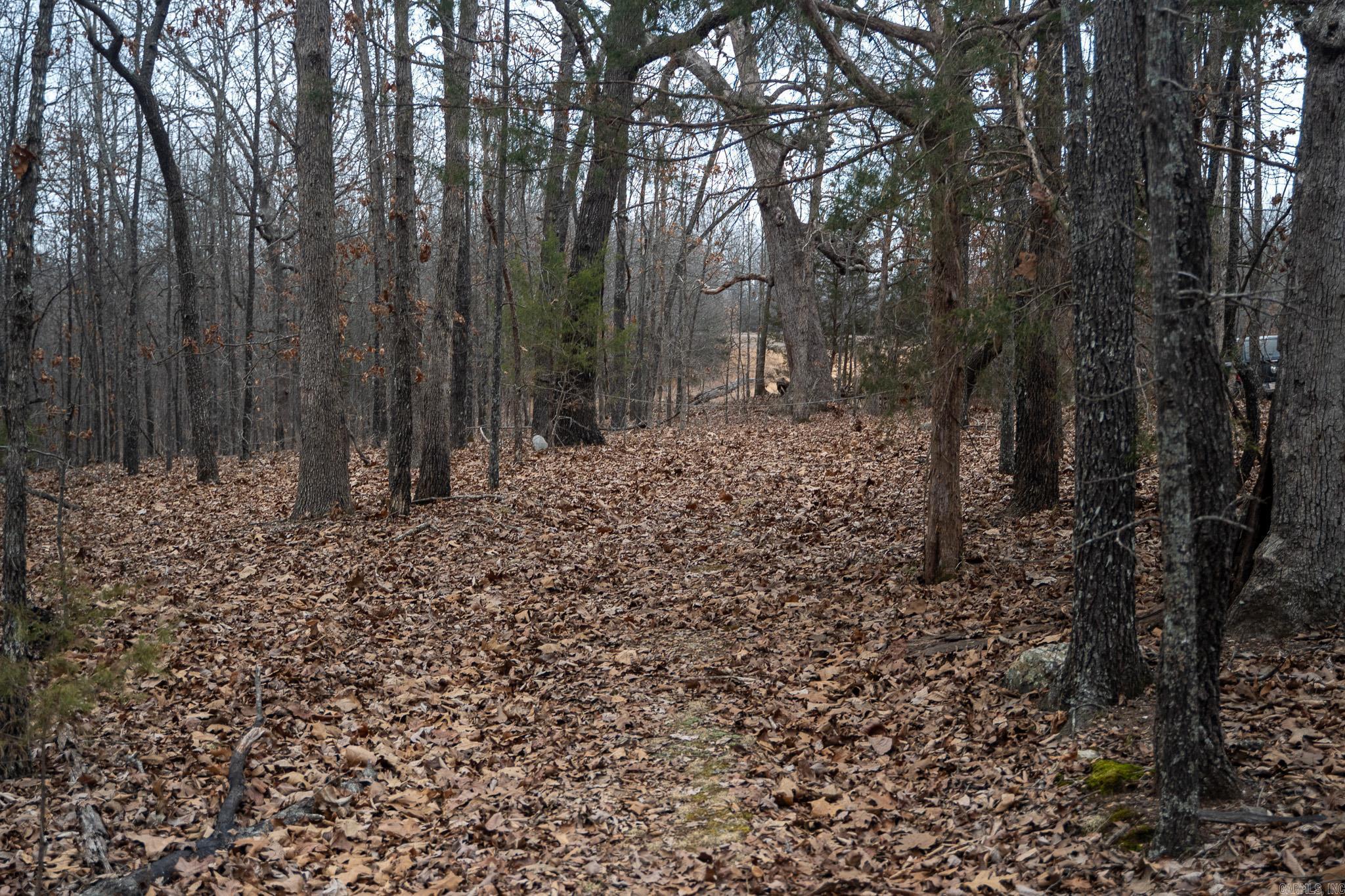 Metes & Bounds - Land