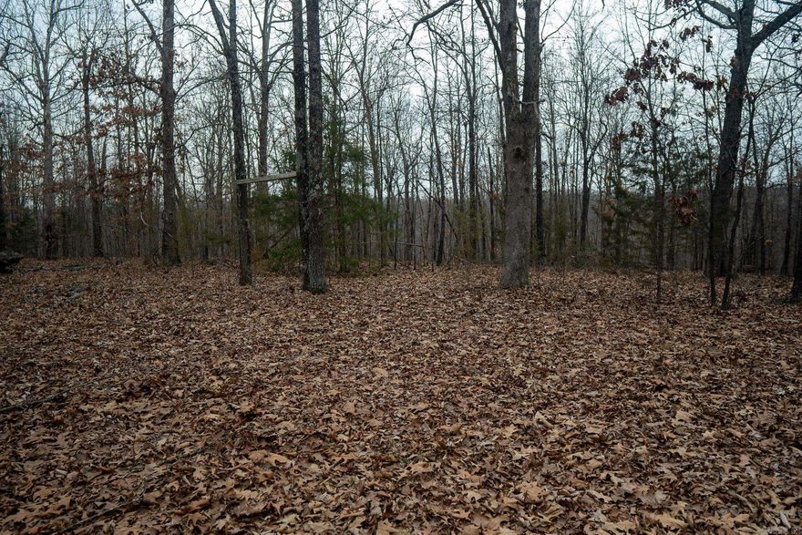 If you've been looking for a secluded piece of ground with strong hunting potential and future build options, "Toombs Corner" checks the boxes.  The property features a nice stand of timber and topography creating excellent habitat for deer, turkey, and even bear. Natural travel corridors make this tract hunt much bigger than it is. Whether you're looking to hang a few stands, establish food plots, or simply enjoy a quiet retreat in the woods, this place is ready for it.  An old homesite sits on the property, offering a head start for someone wanting to build a cabin or rural residence. Electric is available at the road, and the property offers gravel road frontage for easy, year-round access.This would make an ideal weekend hunting getaway, a family recreational property, or a long-term land investment.  Additional acreage is available nearby, providing an opportunity to expand your footprint or secure even more hunting ground.  Quiet. Accessible. Hunt-ready.  -Deer, turkey, bear and small game.  -Interior road system.  -Gravel road frontage with electric available.  -7 miles from Ravenden Springs, AR.  -50 miles from Jonesboro, AR.  -Zone 3 deer hunting regulations.