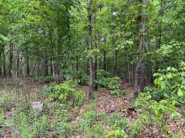 PINE VALLEY ESTATES - Land
