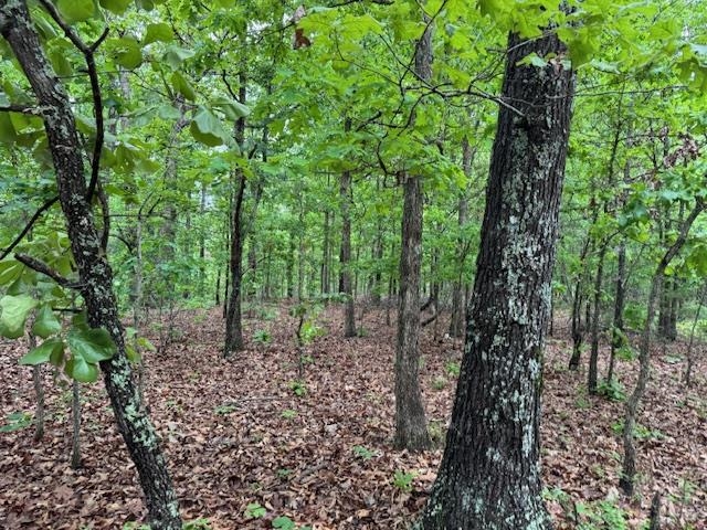 PINE VALLEY ESTATES - Land