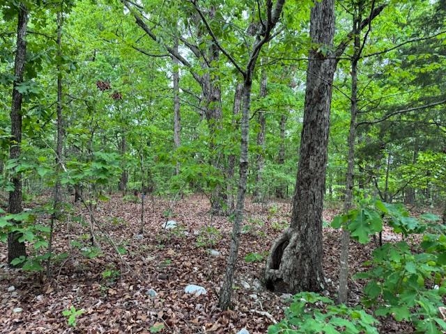 PINE VALLEY ESTATES - Land